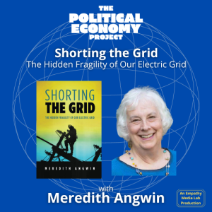Killing People with a Bad Electrical Grid - Meredith Angwin: Author of Shorting the Grid