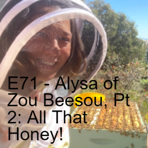 E71 Alysa of Zou Beesou, Pt 2: All That Honey!