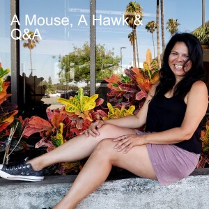 E90 - A Mouse, A Hawk & Answers to Some Questions