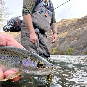 Episode 61 - Serving Trout a 3 Course Meal This Fall: Streamers, Nymphs, and Dry Flies