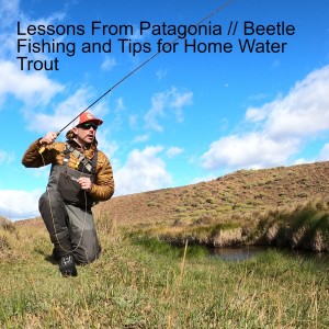 Episode 52 // Lesson From Chilean Patagonia // Beetle Fishing and Tips for Home Water Trout