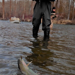 Episode 28 - Winter Strategies for Trout