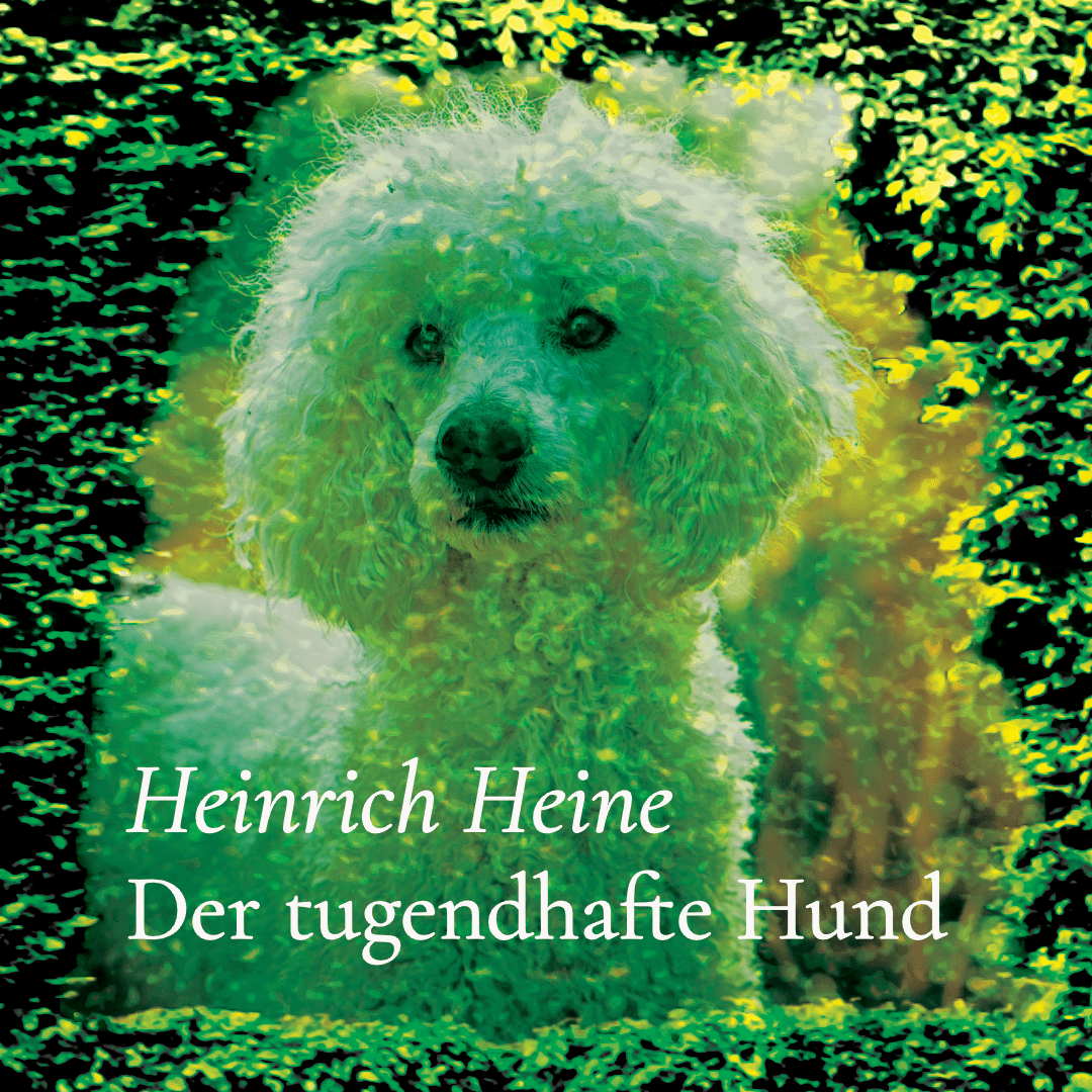 Poesiehecke