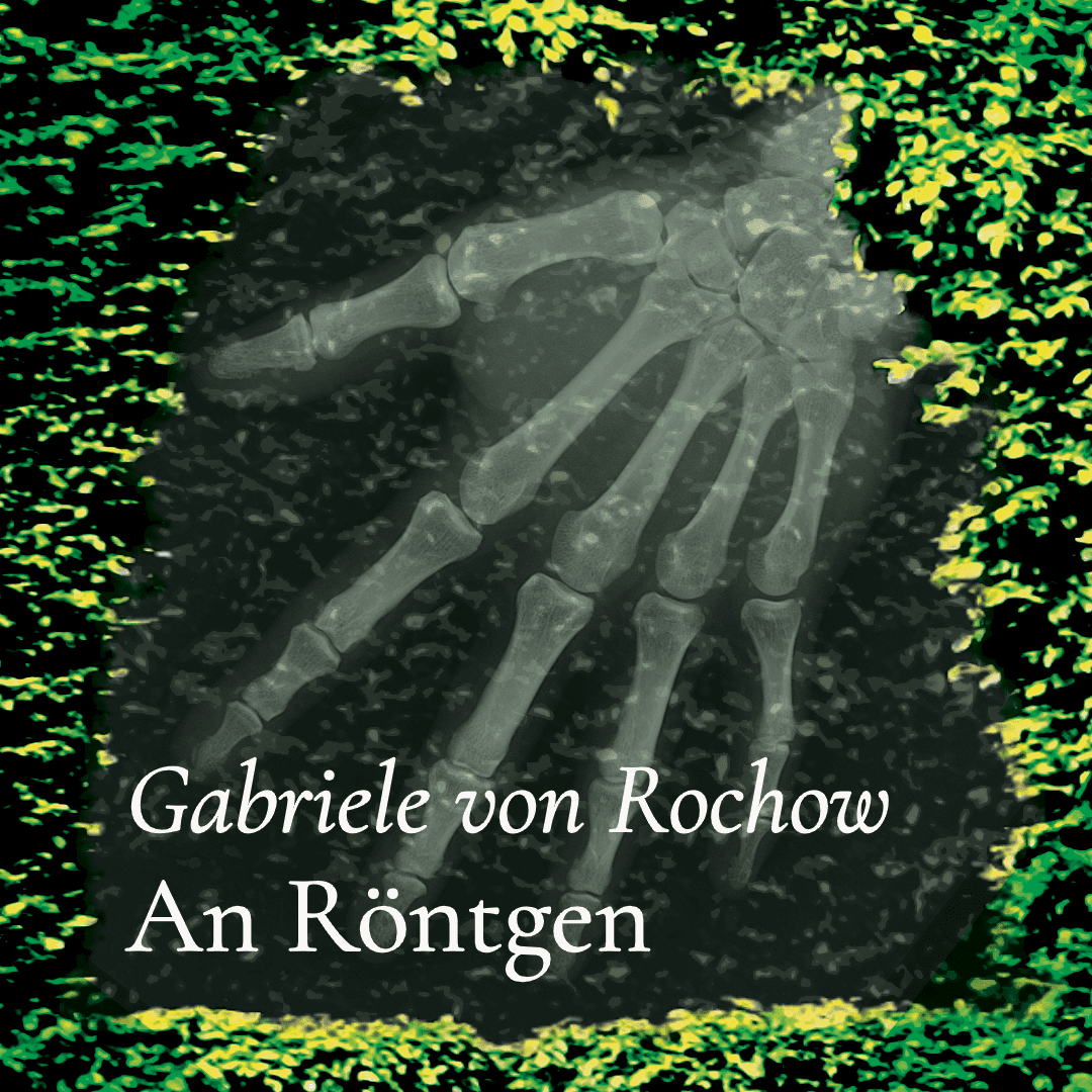 Poesiehecke
