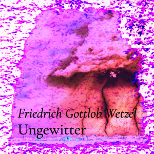 Ungewitter – Friedrich Gottlob Wetzel