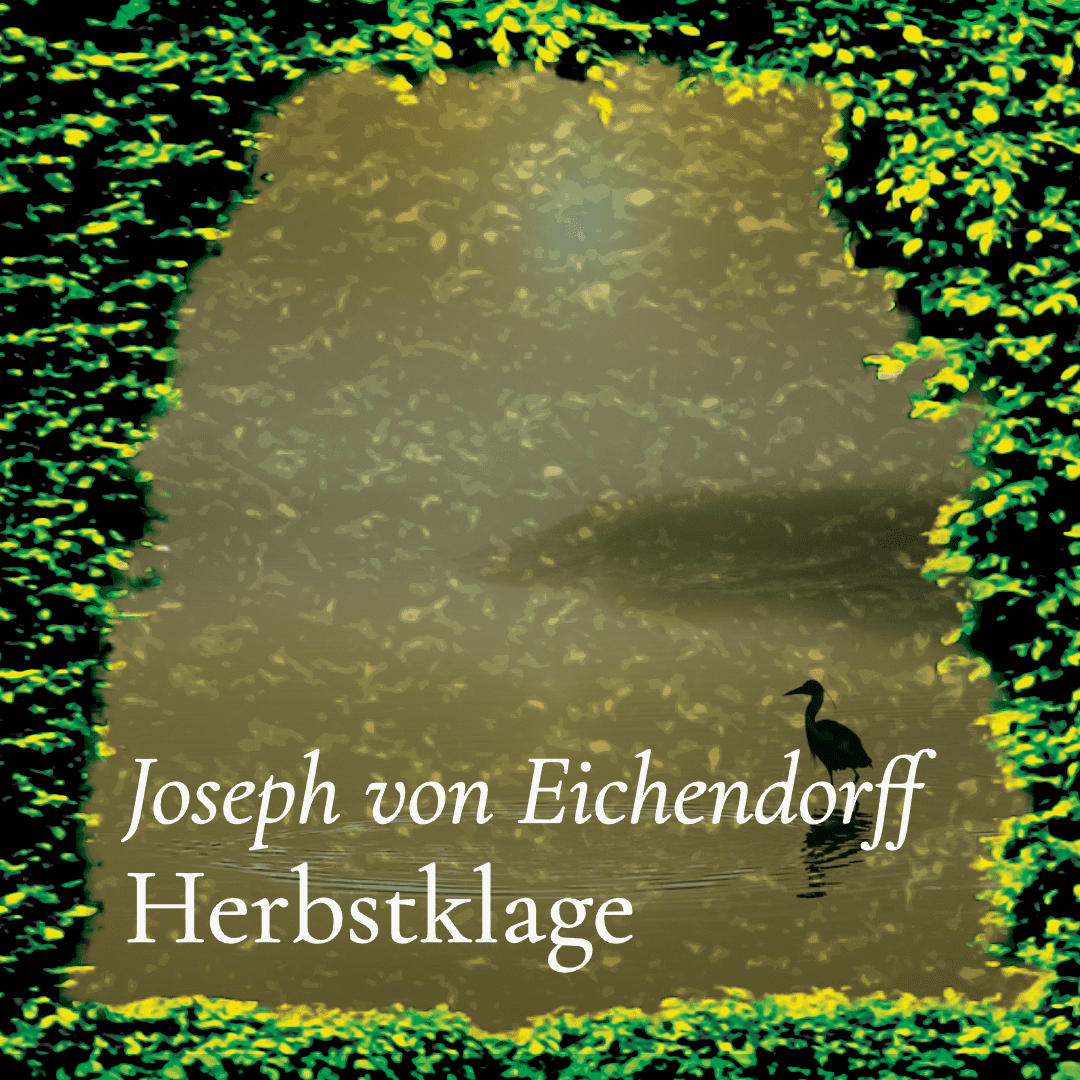Poesiehecke