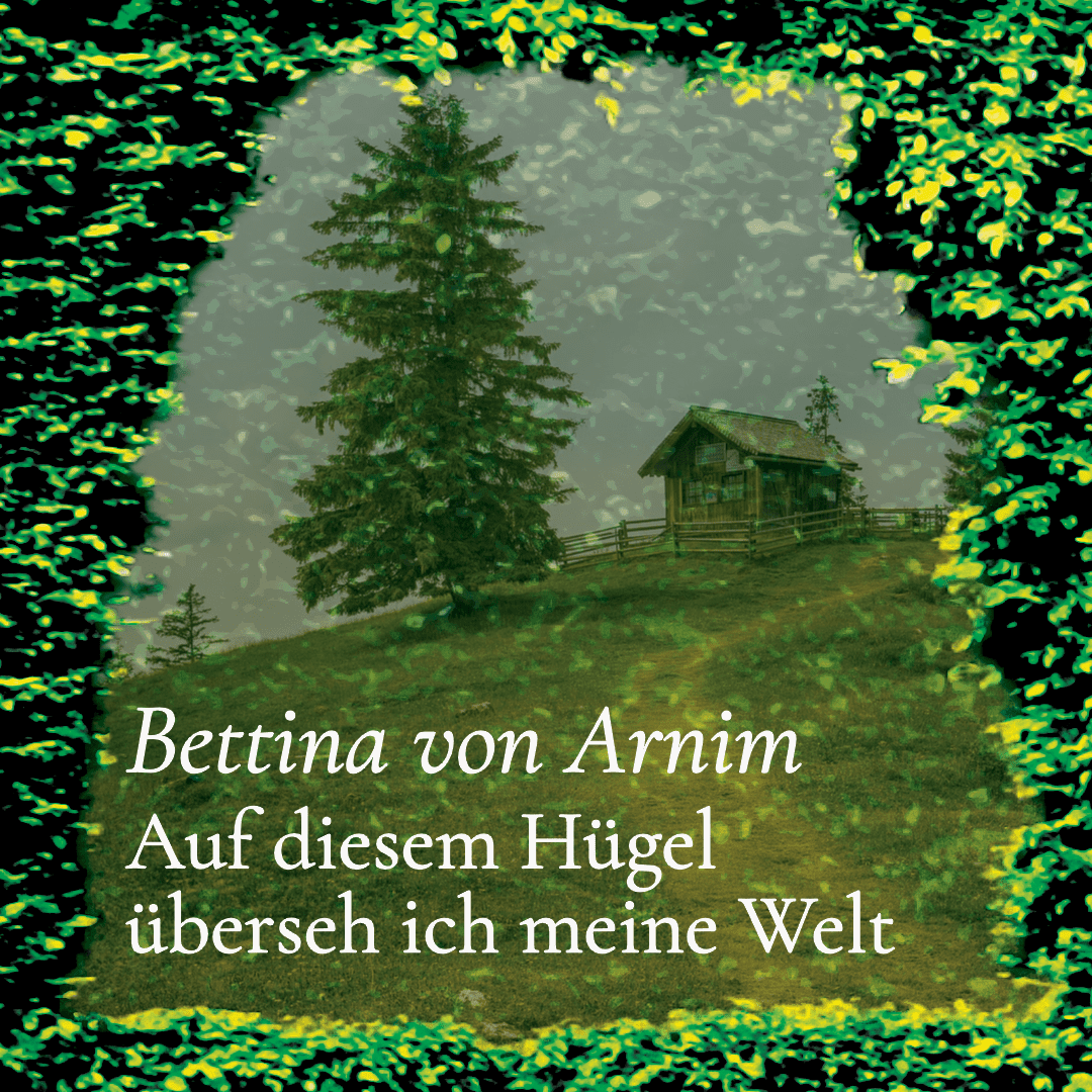 Poesiehecke
