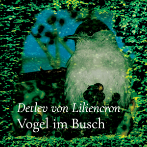 Vogel im Busch – Detlev von Liliencron