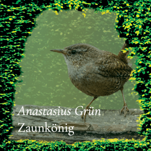 Zaunkönig – Anastasius Grün