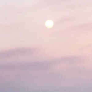 Mind as Manas-Vijnana