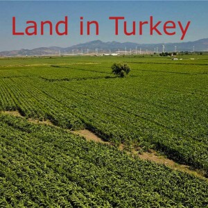 Lands in Turkey - AIMFARMLANDS