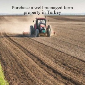 Purchase a well-managed farm property in Turkey