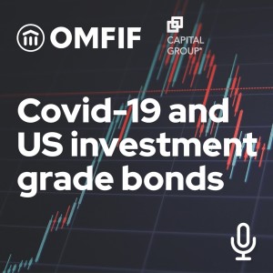 Diving into US investment grade bond markets
