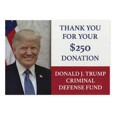 Donald Trump MAGA 2024 | "I Believe You!"