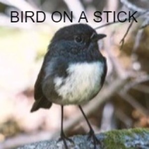 BIRD ON A STICK