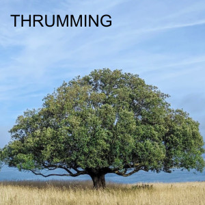 THRUMMING