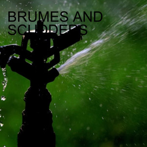BRUMES AND SCUDDERS
