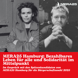 MERA25 Hamburg: Bezahlbares Leben für alle und Solidarität im Mittelpunkt