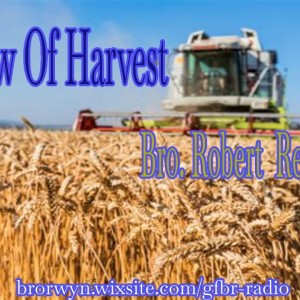 The Law of Harvest (P.T. #41)