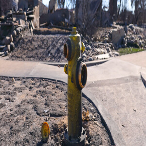 When the Hydrants Ran Dry in Los Angeles