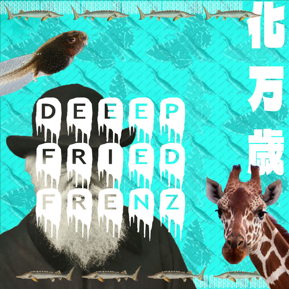 DEEEP FRIED FRENZ