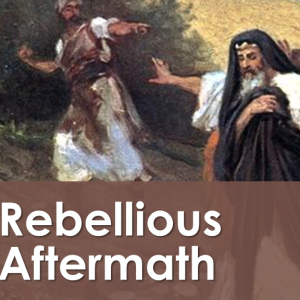 Rebellious Aftermath