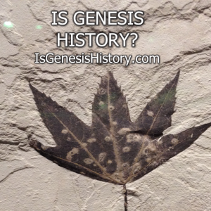 Do the Fossil layers support evolution?