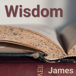 Types of Wisdom
