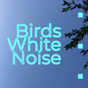 Birds White Noise 12 Hours