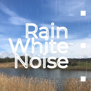 Rain Pink White Noise 12 Hours