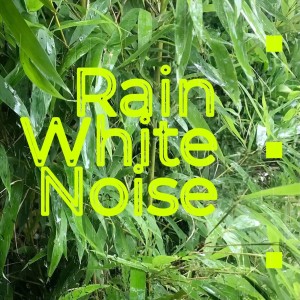 Rain White Noise 12 Hours