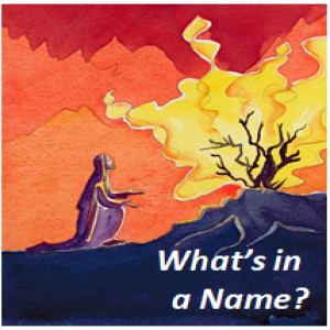 What’s in a Name? Images of Christ: The Great High Priest