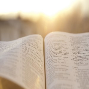 Encountering Jesus in the Bible