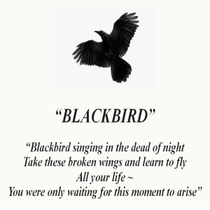 The Beatles – Blackbird: Rising Above Racism