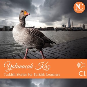 Yolunacak Kaz / Turkish Stories C1