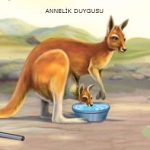 ANNELİK DUYGUSU / Turkish Stories