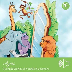 Ayna / Turkish Stories