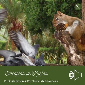 Sincaplar ve Kuşlar / Turkish Stories