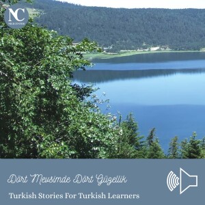 Hayal Kuşunun Kanatlarından Bursa / Turkish Stories