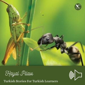 Hayal Pilavı / Turkish Stories