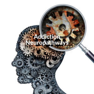 Episode 143: Addiction Neuropathways