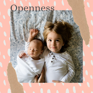 Episode 205: Openness