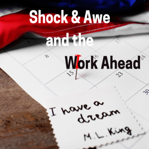 Episode 301: Shock and Awe and the Work Ahead