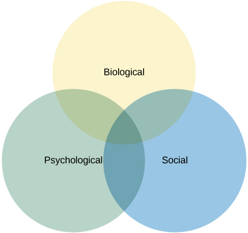 Episode 1: The Bio-psycho-social Perspectives of Recovery