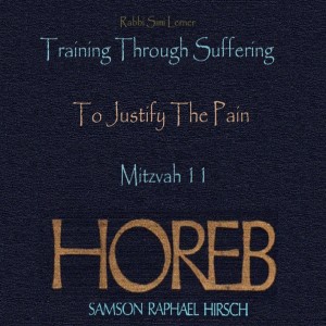 Rav Hirsch HOREB -  Mitzvah #11 Training though Suffering - To Justify the Pain