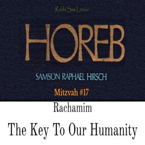 Mitzvah #17 Rachamim - The Key To Our Humanity
