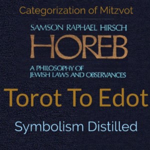 Categorization Of Mitzvot - We Now Transition From Torot To Edot