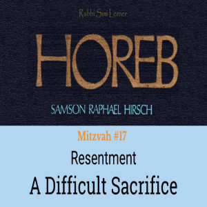 Mitzvah #18 Resentment- a Difficult sacrifice