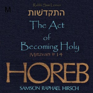 Mitzva #14 - התקדשׁות -  The Act Of Becoming Holy