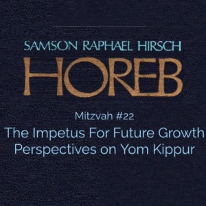 Mitzvah #22 - The Impetus For Future Growth Perspectives on Yom Kippur
